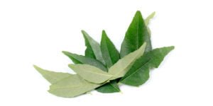 iron-rich curry leaf